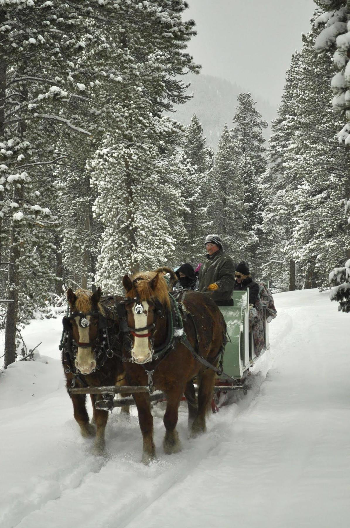 Dao House Hotel Estes Park Kültér fotó